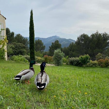 La Maison Perchee Auriol Exteriér fotografie