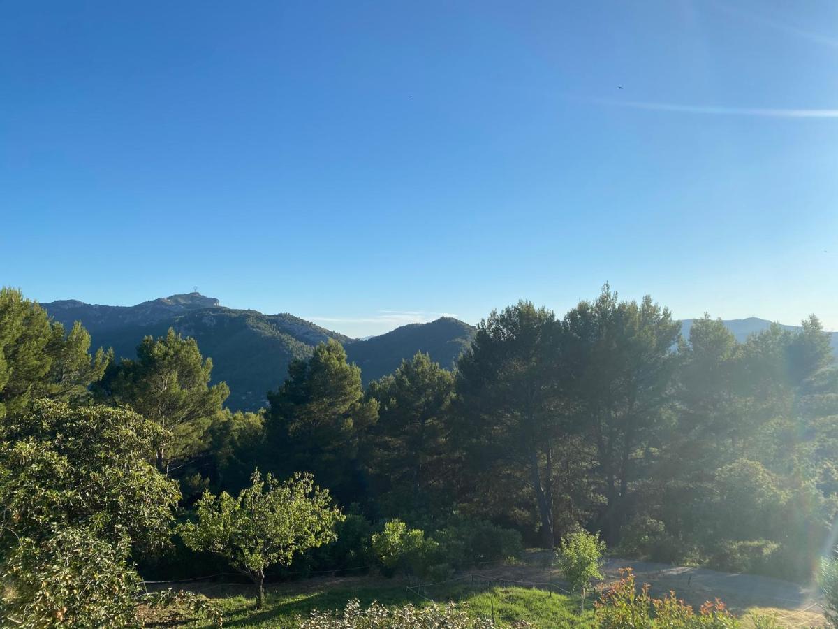 La Maison Perchee Auriol Exteriér fotografie